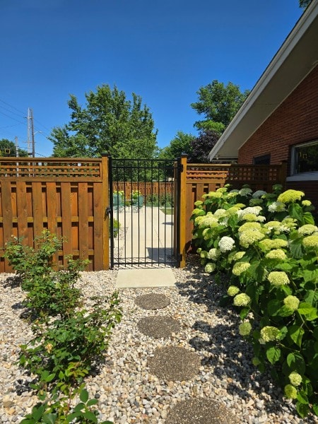 Wood board-on-board fence with lattice top and black metal gate surrounded by hydrangeas
